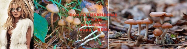 мяу мяу кристалл Алексеевка