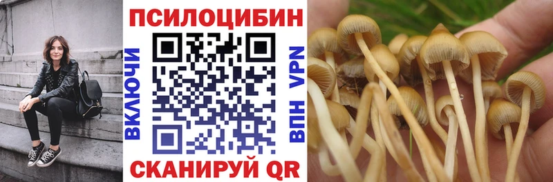 мега зеркало продажа наркотиков Островной Галлюциногенные грибы Cubensis
